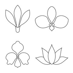 Set of flower line art vector on white background