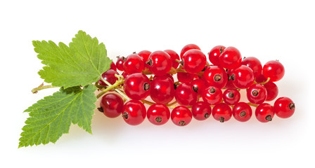 Red currant with green leaves isolated on white background
