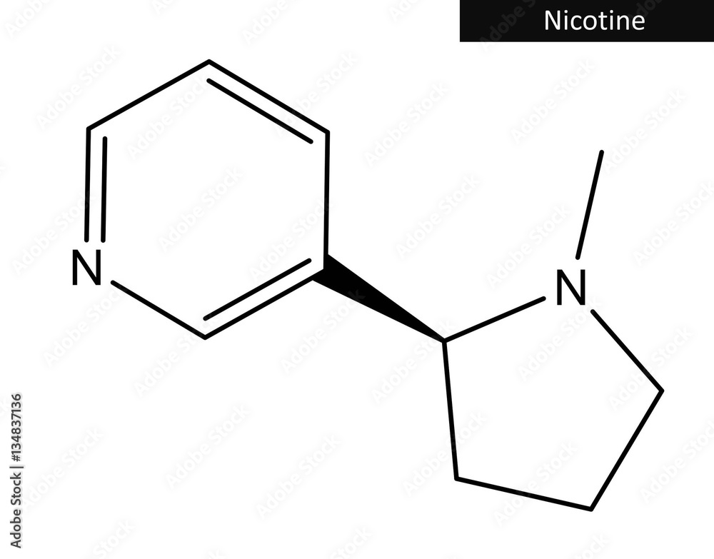 Poster Molecular structure of nicotine