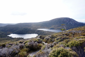 Cradle mountain view