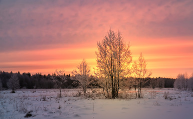 Fototapeta na wymiar Fantastic dawn landscape in a colorful sunlight. Instagram toning effect. Happy New Year! Dramatic wintry scene. Retro style filter. The enchanting frosty silence. Trees covered with hoarfrost.