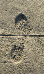One footprint in the cement sidewalk