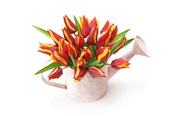 Watering pot with spring flowers