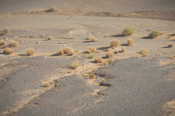Sand dunes in the Sahara Desert, Morocco