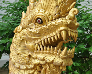 Fototapeta premium Gold Dragon