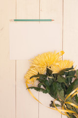 Aster on the wooden desk