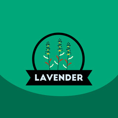 flat vector icon design collection Kitchenware seasoning lavender