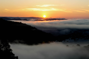 Mist in sunrise