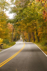 Fototapeta premium The autumn road