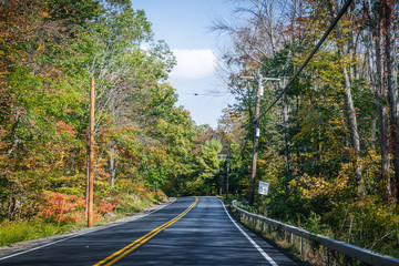 The autumn road