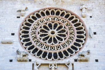  Rose window. St. Francesco Basilica. Assisi. Umbria.