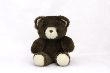 soft toy teddy bear on white background.