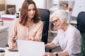 Obraz premium Attentive business partners working in cooperation in the office