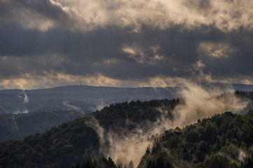 Fototapeta na wymiar Letzter Nebel im Wald