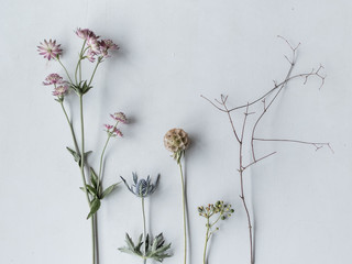 Einzelne Blumen nebeneinander auf dem Tisch liegend