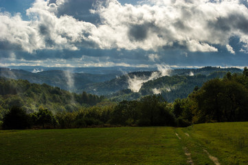 Fototapeta na wymiar Nebelwoken in der Waldlandschaft