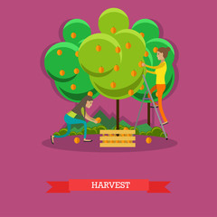 Harvesting concept vector illustration in flat style.