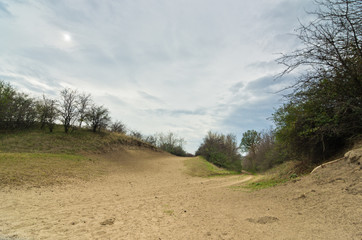 Prairie terrain surrounded by a small sand dunes, Deliblato, north Serbia