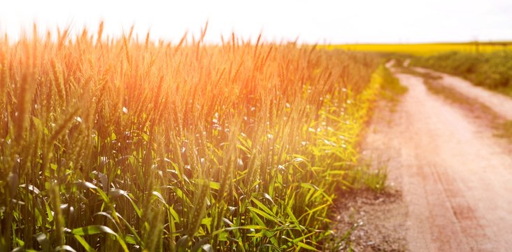 Empty Path Passing Through Fields