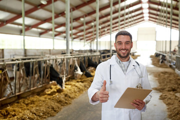 veterinarian with cows showing thumbs up on farm