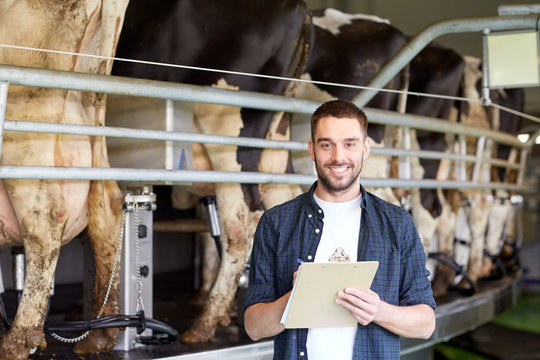 man with clipboard and milking cows on dairy farm