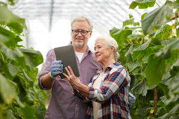 senior couple with tablet pc at farm greenhouse