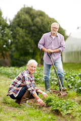 senior couple working in garden or at summer farm