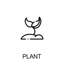 Plant flat icon