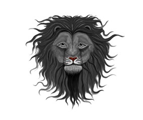 Black lion head with a fluffy mane of curls and waves reaching