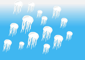 Many white jellyfish on blue sea background