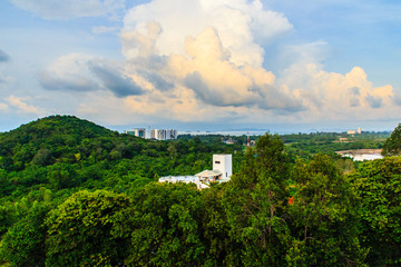 Obraz premium Evergreen forest at Hinsuay Namsai beach, Rayong, Thailand. The growth of tourism and construction of hotels and resorts made reduce area of mangrove forests. 