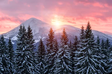Gordijnen prachtige zonsondergang, berg © Volodymyr Shevchuk