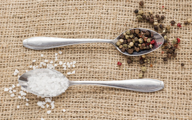 salt and pepper on metal spoons on canvas