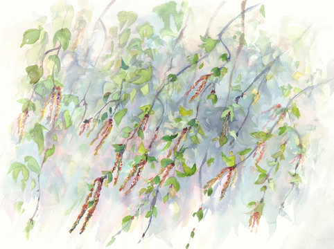 birch branches watercolor background