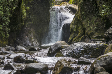 waterfall near Mindo in nambillo rain forest in Ecuador