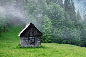 Fototapeta na wymiar cabin, fog, forest