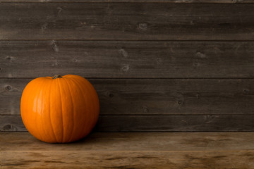 Single Pumpkin on Wooden Shelf with Copy Space