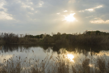 Late afternoon at Remolar-Filipines reserve, Barcelona