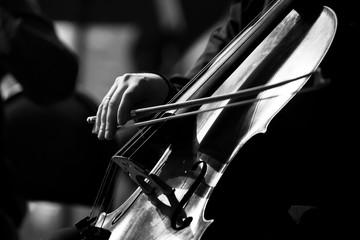 Musician hand playing the cello in black and white © furtseff