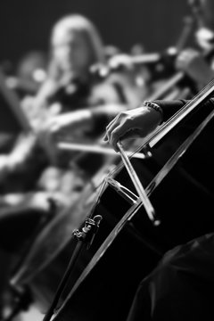 Hand girl playing the cello closeup in black and white
