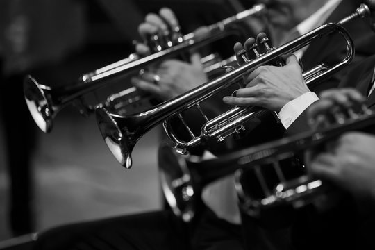  Pipes in the hands of the musicians in the orchestra in black and white
