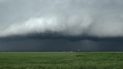 Shelf Cloud Thunderstorm Outflow over Wheat Field - Powered by Adobe
