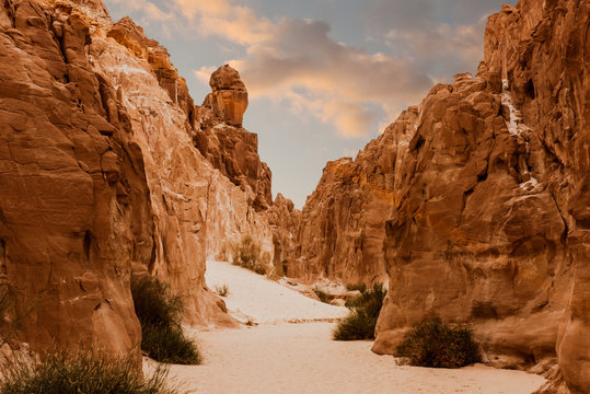 White Canyon Sinai Peninsula, Egypt