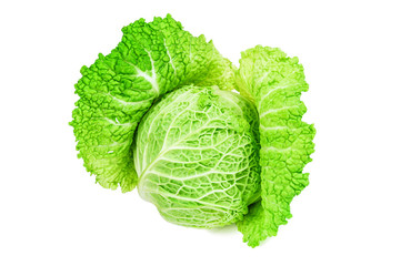 fresh Savoy cabbage