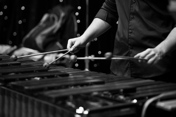 Hands musician playing the xylophone in black and white 