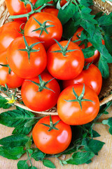 Many red cherry fresh tomatoes