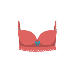 Obraz na płótnie Canvas Bra women underwear icon vector illustration graphic design