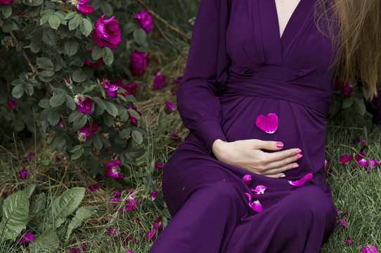 Pregnant woman relaxing  on  grass  near the  bushes of purple r