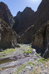 Fototapeta na wymiar Joly Am - Geierschlucht - Altai - Mongolei