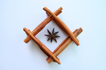 Aromatic cinnamon sticks and stars of anise in the square on the white background.